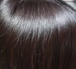 20090221.jpg