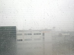 20090227_.jpg